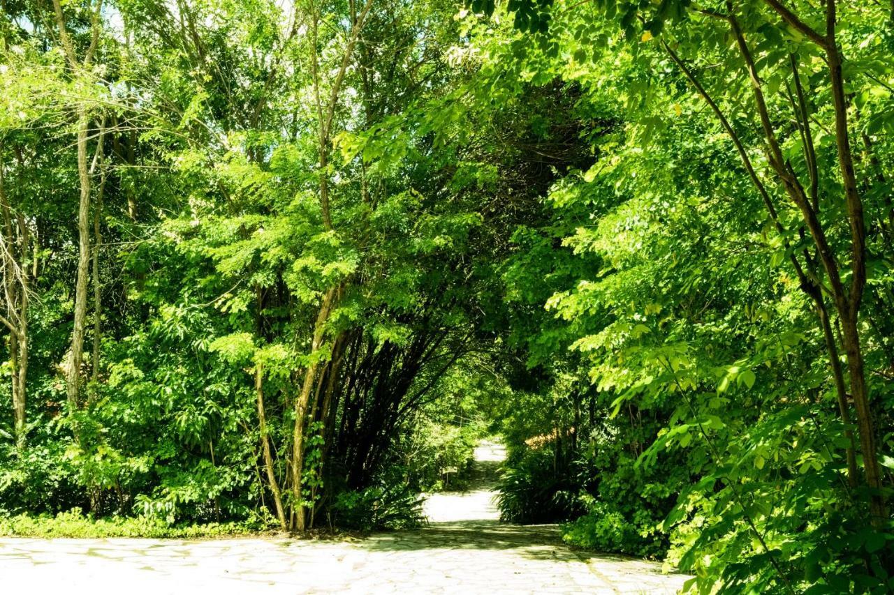 賓館 Das Pedras 2*